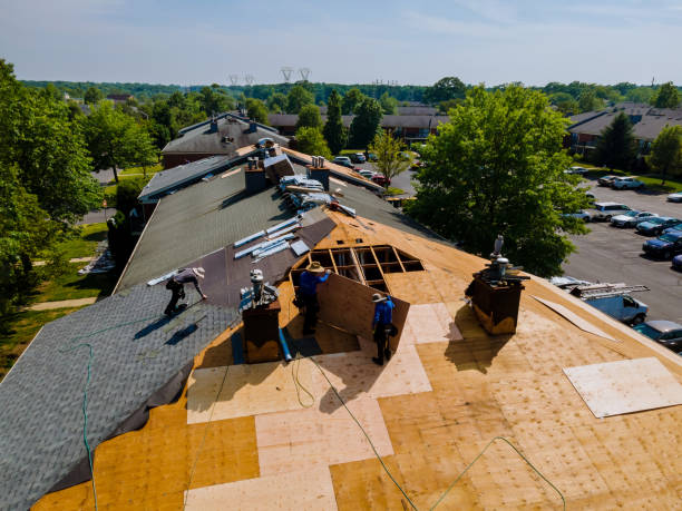 Best Flat Roof Repair Services  in Ackerman, MS