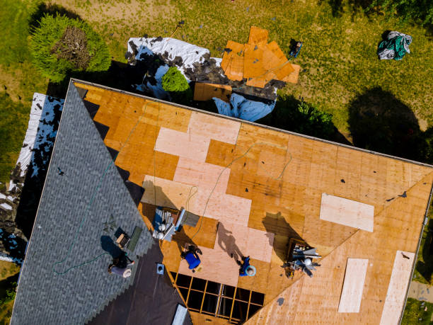 Best Commercial Roofing Services  in Ackerman, MS