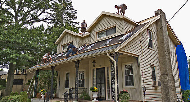 Best Roof Restoration Services  in Ackerman, MS
