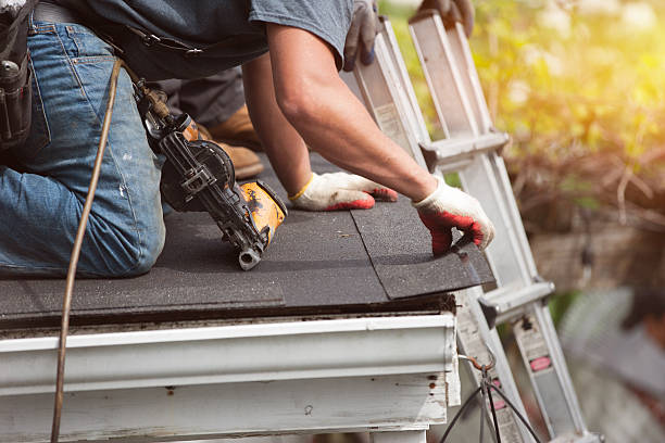 Best Local Roofing Companies  in Ackerman, MS