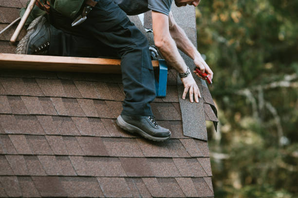 Best Shingle Roofing Installation  in Ackerman, MS